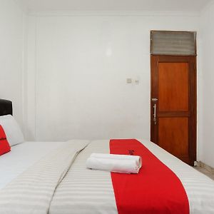 Kamar king standard
